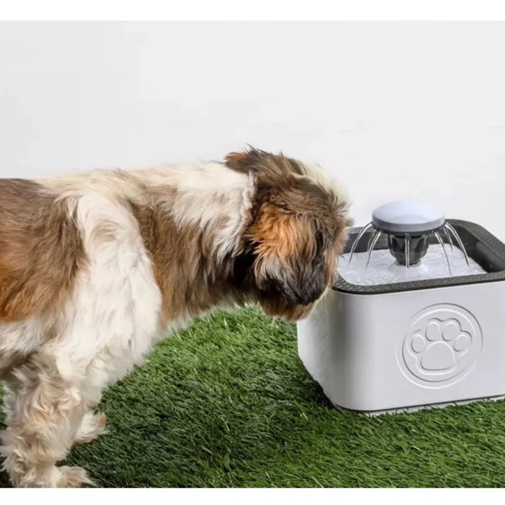 Paw Perfect pre owned